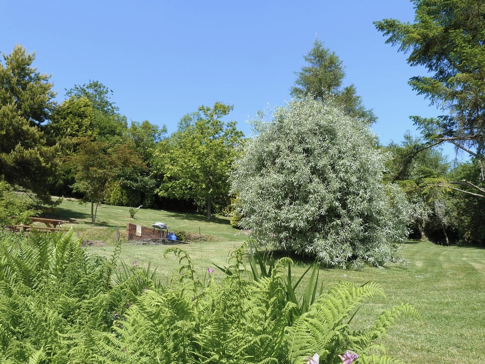 Garden | Triscombe Farm Country Cottages - Rose Cottage, Wheddon Cross, Exmoor