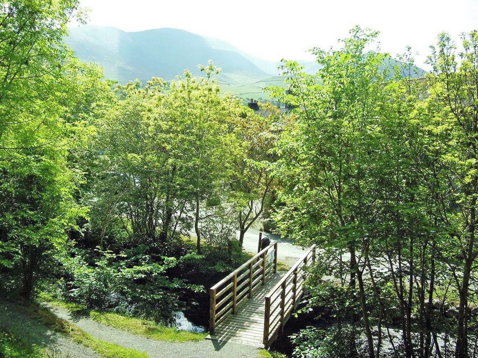 View to Skiddaw from small wooded area a couple of minutes from the cottage | Jemima&rsquo;s Cottage, Rebecca Puddle Duck Cottage, Bassenthwaite
