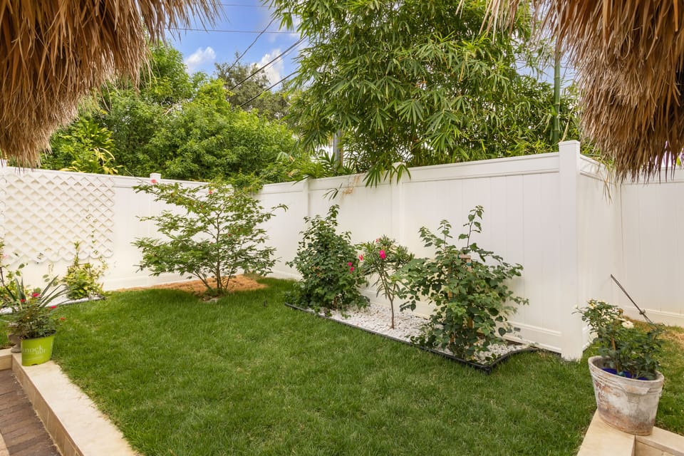 Zen Yard For Meditation With Tropical Plants