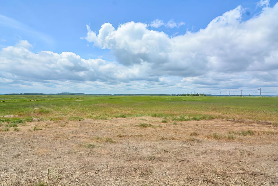 The salt marsh.