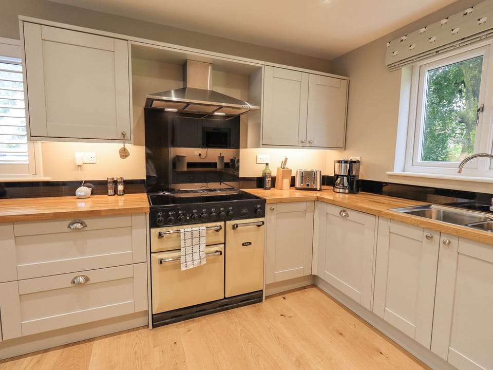 Electric Aga & induction hob