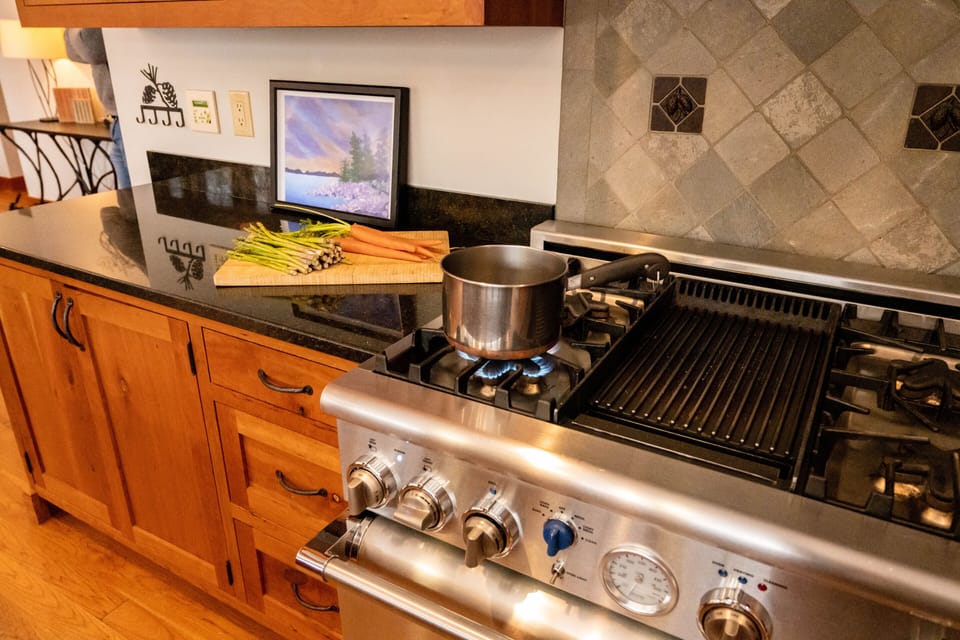 High end gas stove and griddle