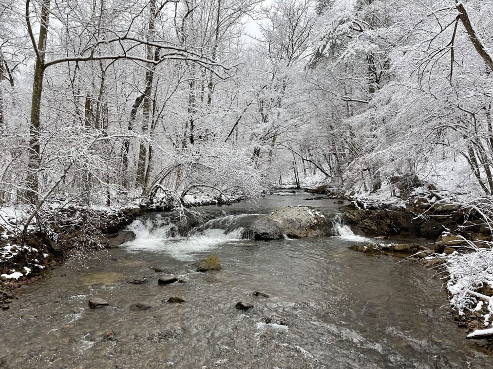 View of private creek 