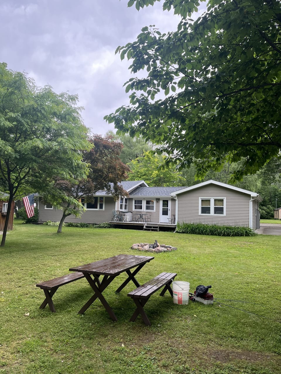 Back yard