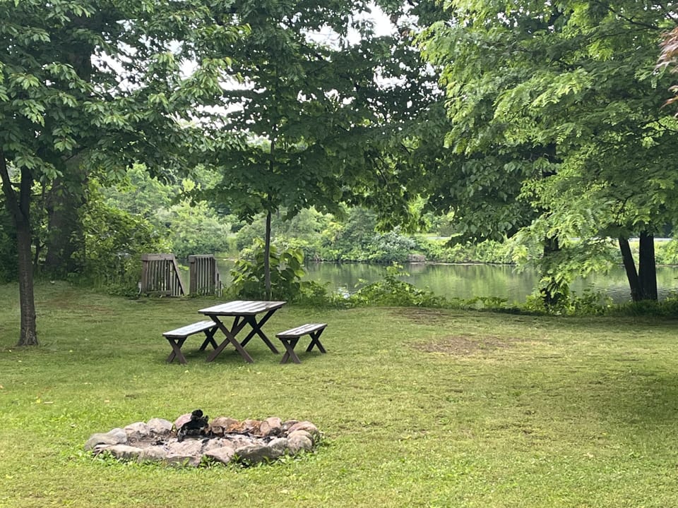 Back yard picnic table and fire pit