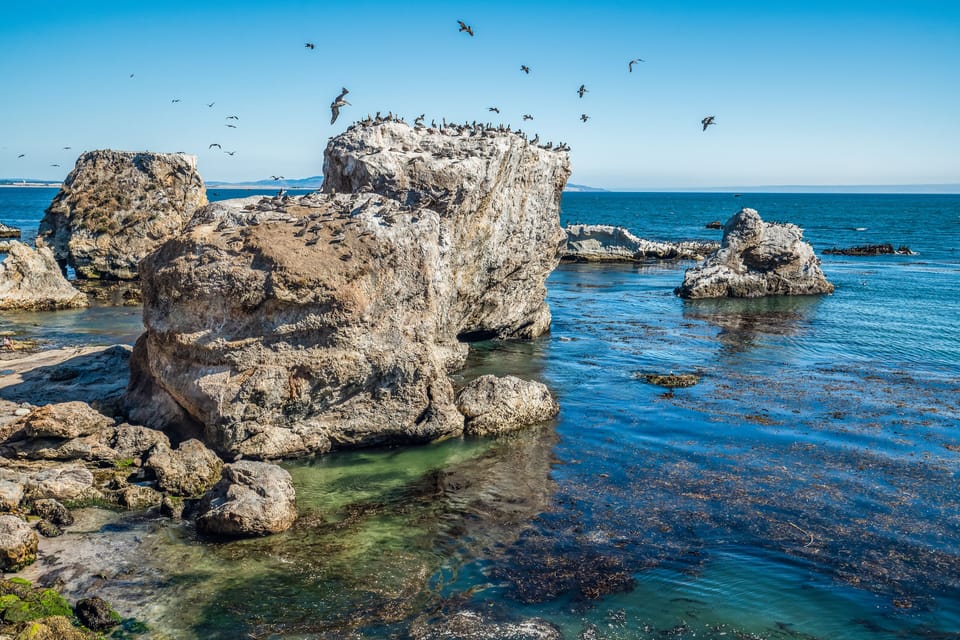 View from the cliffs