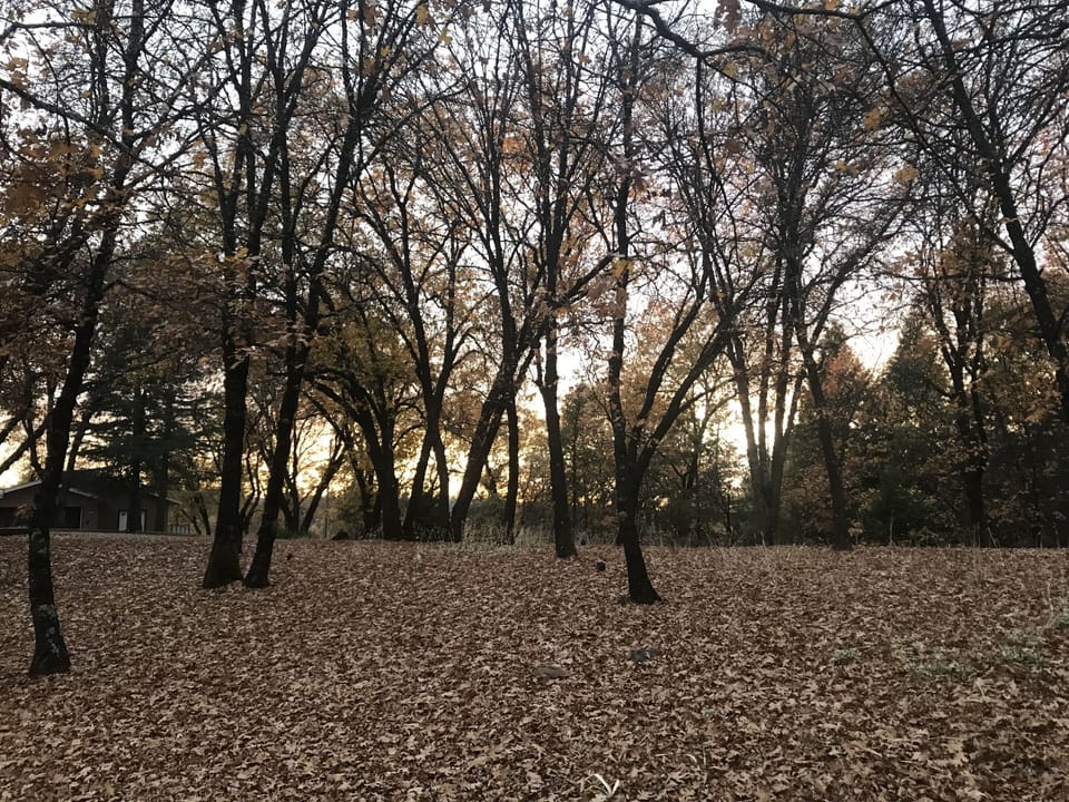Peaceful surrounds to relax and recharge 