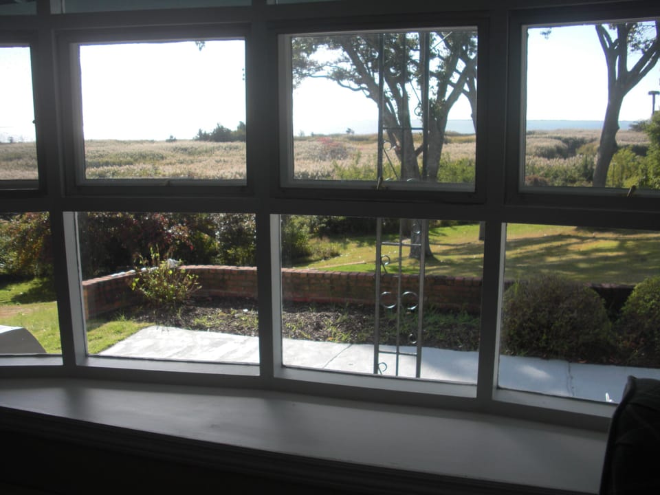 View out living room bay window.