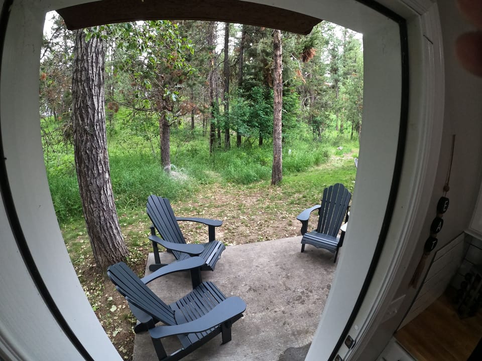 Back patio with 4 chairs and BBQ