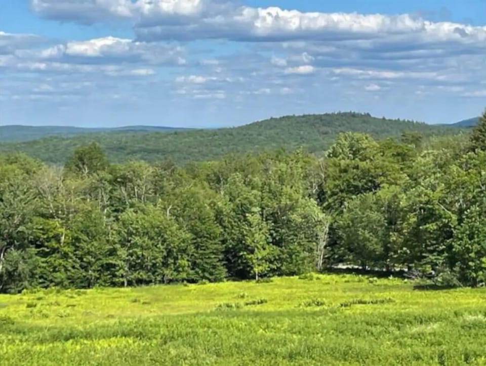 View from master bedroom