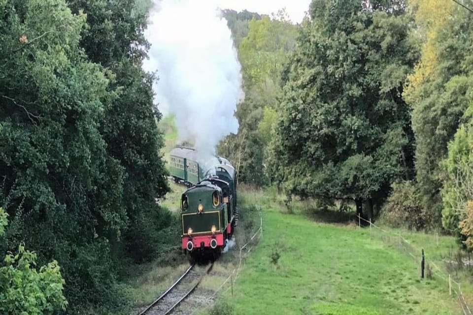 Region [summer] (>5 km)