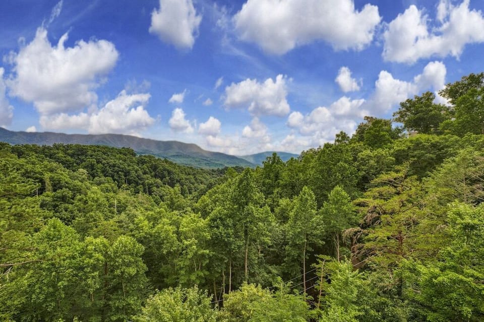 Views from Luxury Lookout's deck