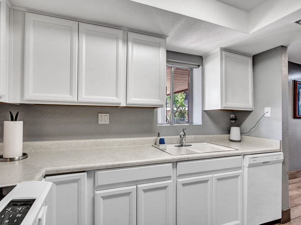 Sink and dishwasher and a view too