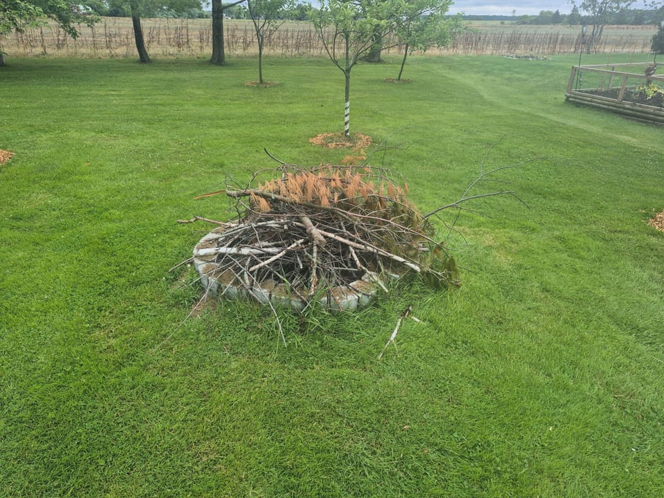 firepit