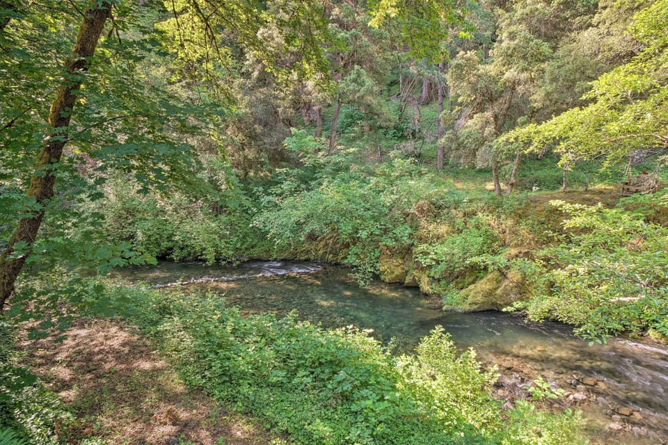 Surrounding Area | Backyard