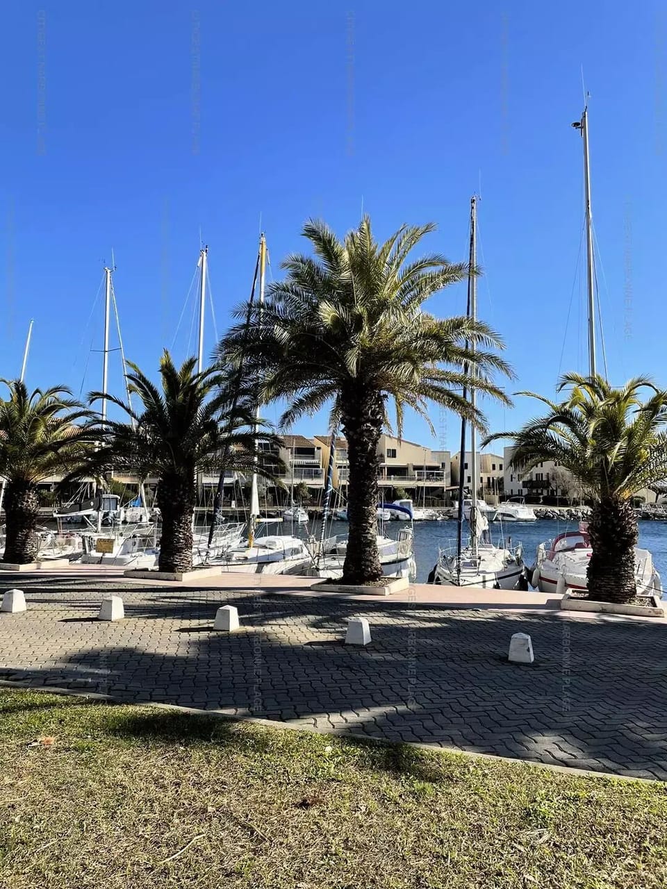 Marina