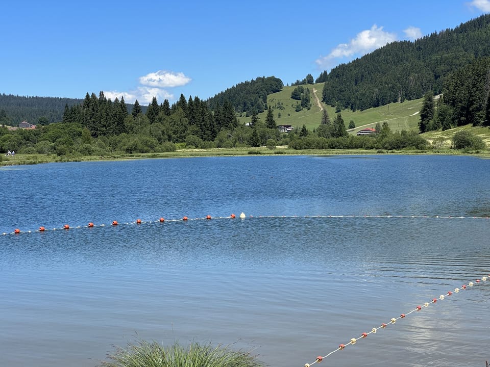 Lake