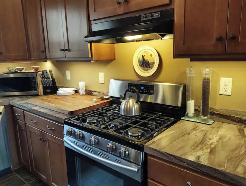 Gas stove