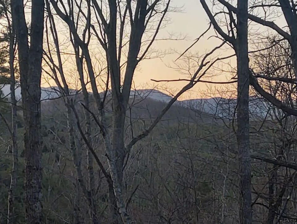View from front deck