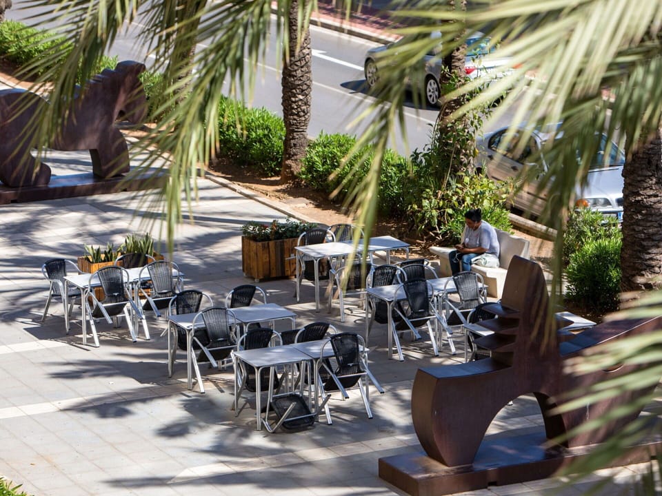 Plant, Property, Table, Furniture, Chair, Outdoor Table, Botany, Outdoor Furniture, Architecture, Shade