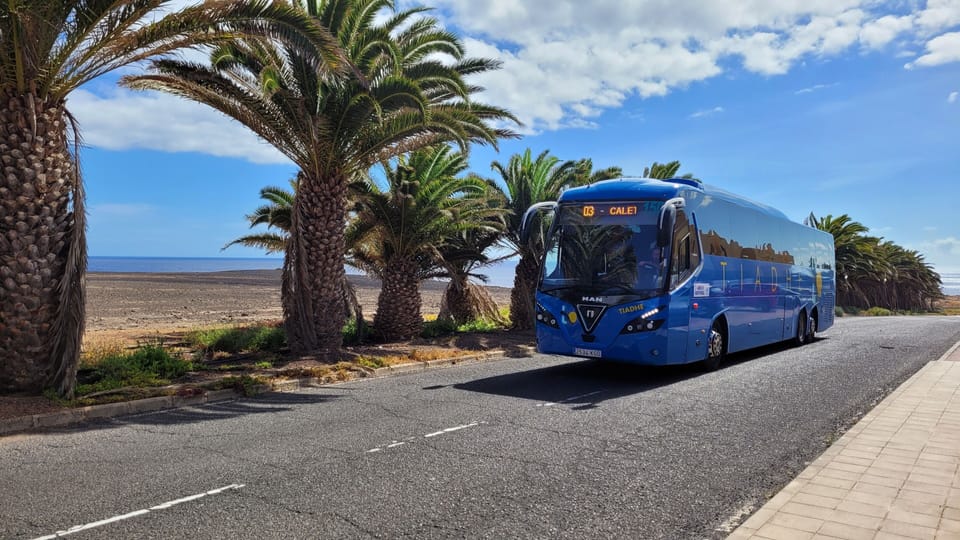 🚍 Bus stop line 3 (half-hourly service)