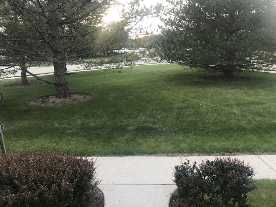 Front lawn