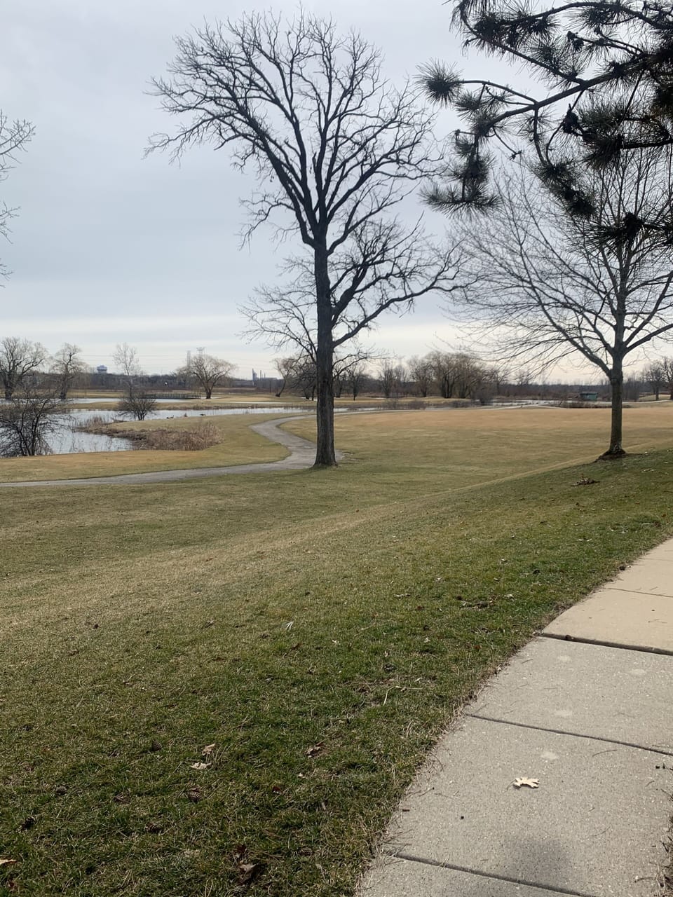 Golf grounds/trails 