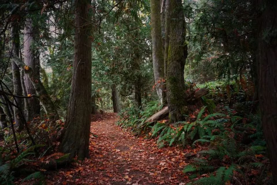 Get outdoors. Adventures await!