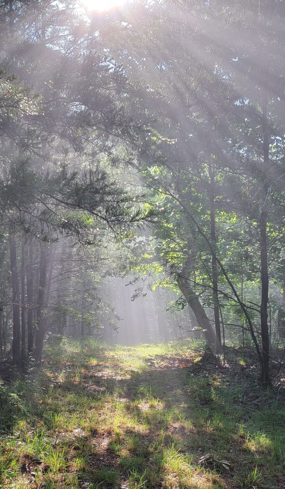 serene views from our trails