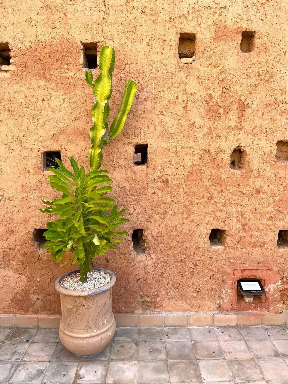 Historical Rampart wall 