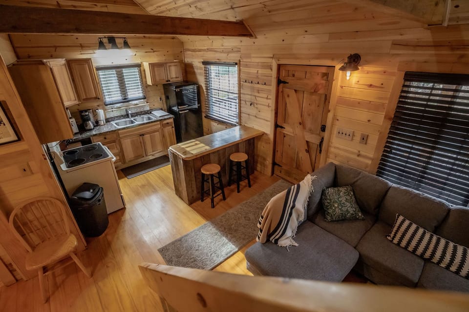 Living area and kitchen.