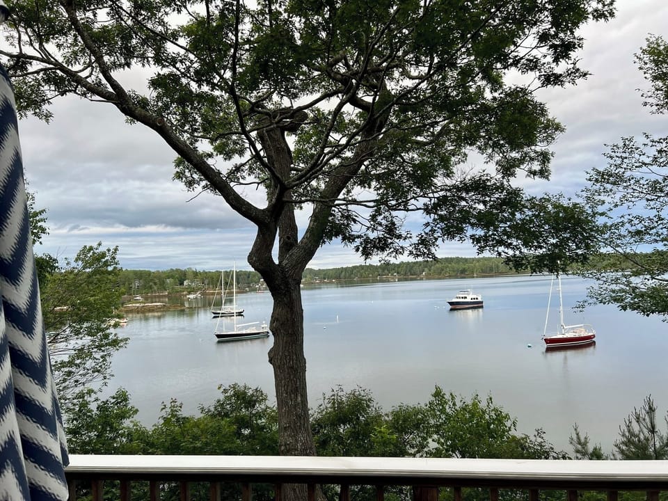 Moored boats for your viewing pleasure from the deck.