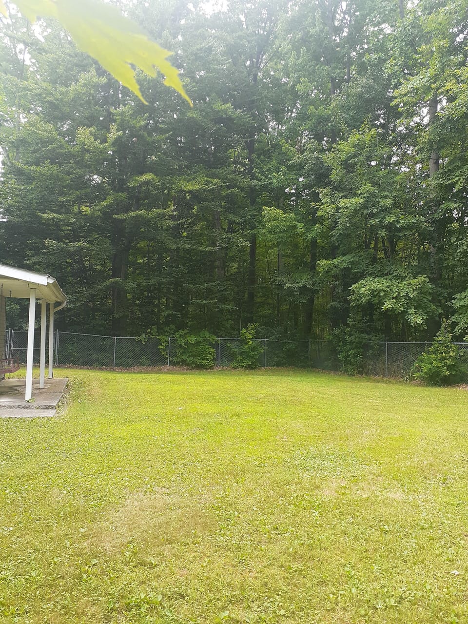Big yard with fence. 5 acres beyond fence.