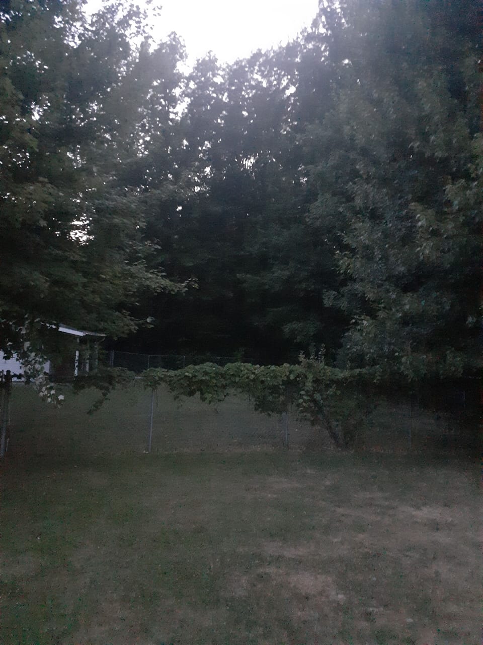 5 acres of woods.