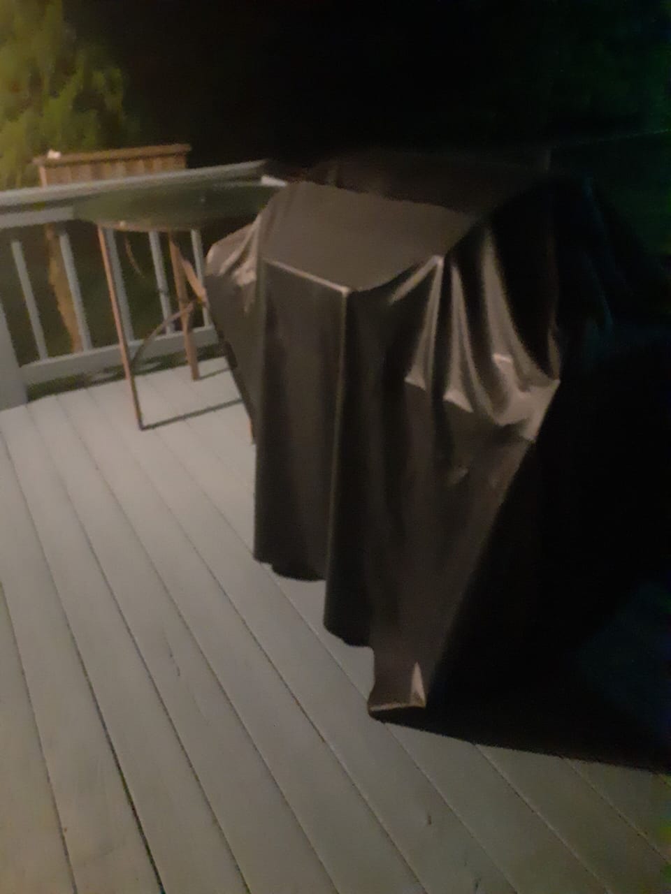 Gas grill. Also, a smoker on premises.