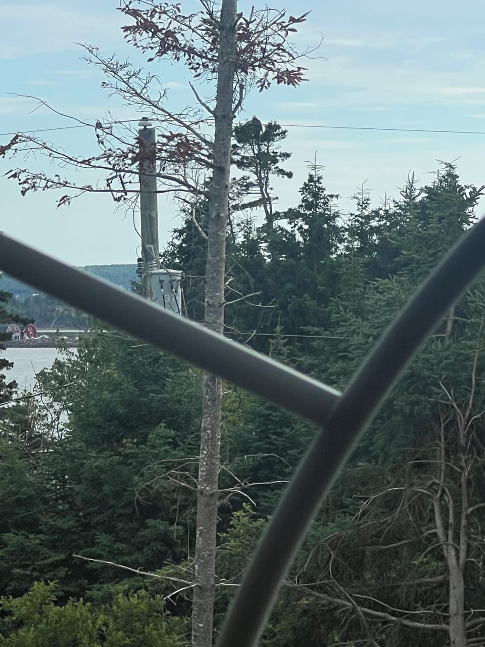View from property
