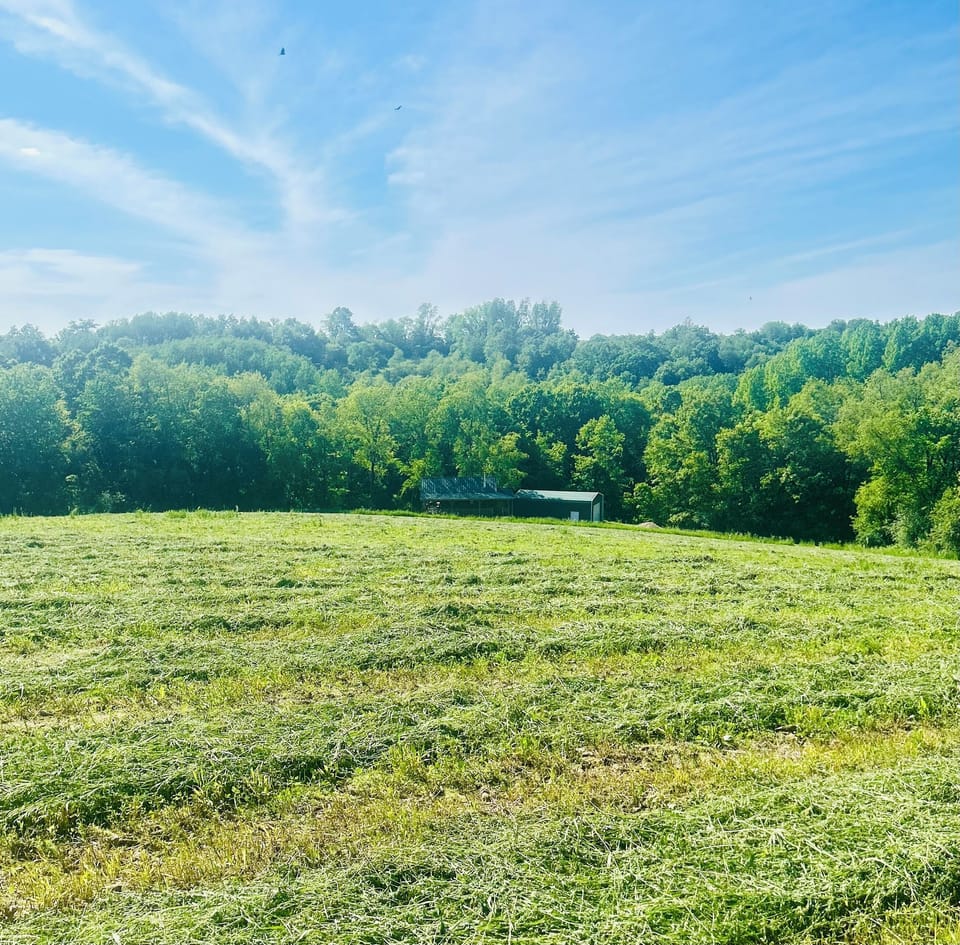 Where you will be 🤍