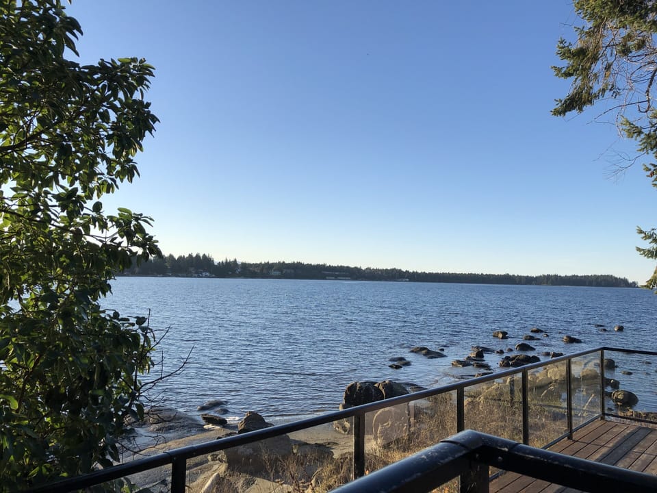 The gazebo view
