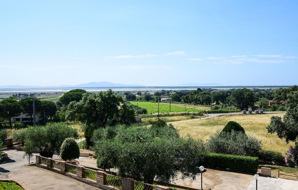 view-from-room
