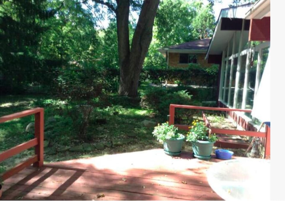 Backyard