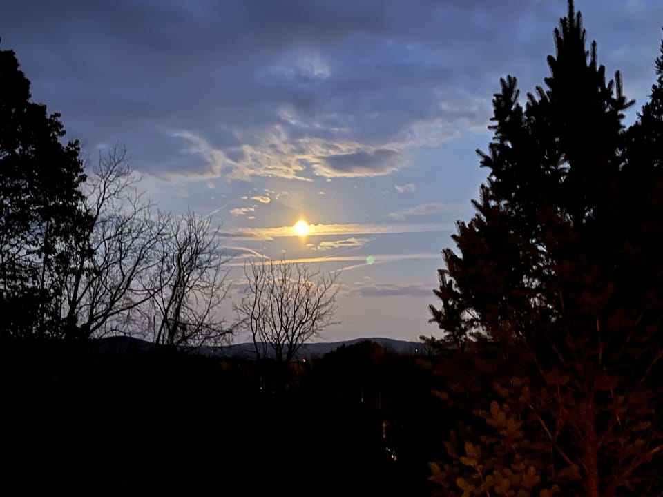 Full Moon view from backyard