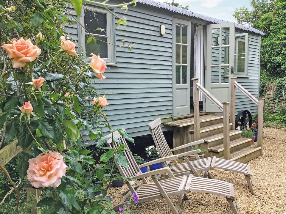 Outdoor area | Fig Tree Shepherd&rsquo;s Hut, Bridport