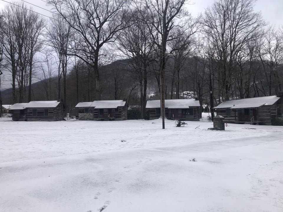 Cabins 1, 2, 3 & 4 (left to right) 
