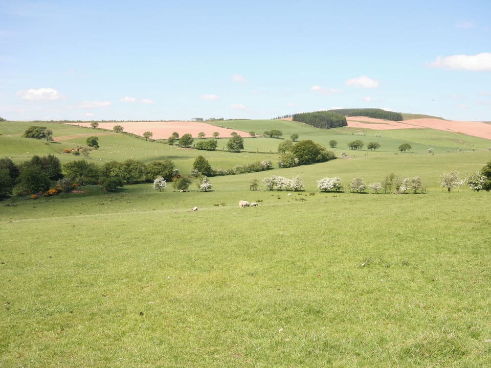 Halliday Hill Cottage, Dalton near Lockerbie