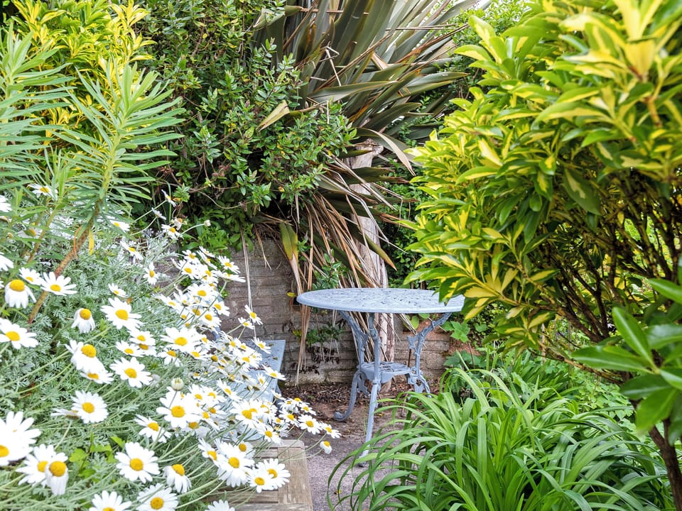 Beautiful garden | The Cabin, Dartmouth
