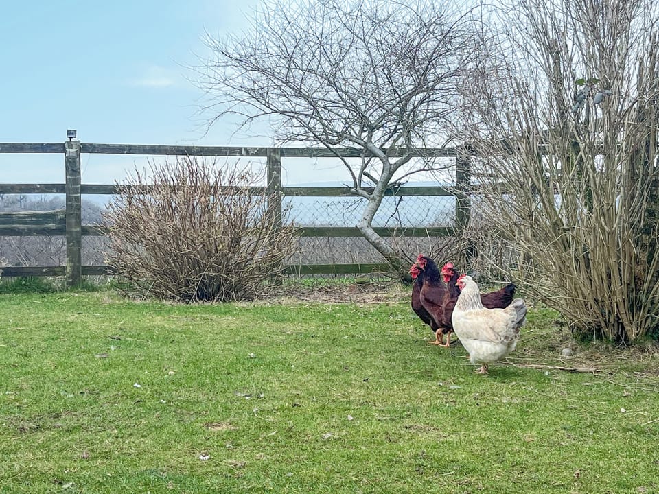 Heron&rsquo;s Lodge, Llanarthney