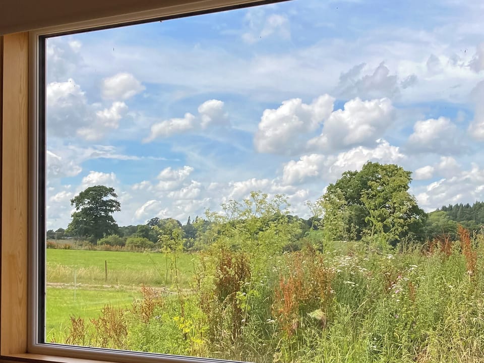 View | Langston Farm Chalet, Okeford Fitzpaine, near Blandford Forum