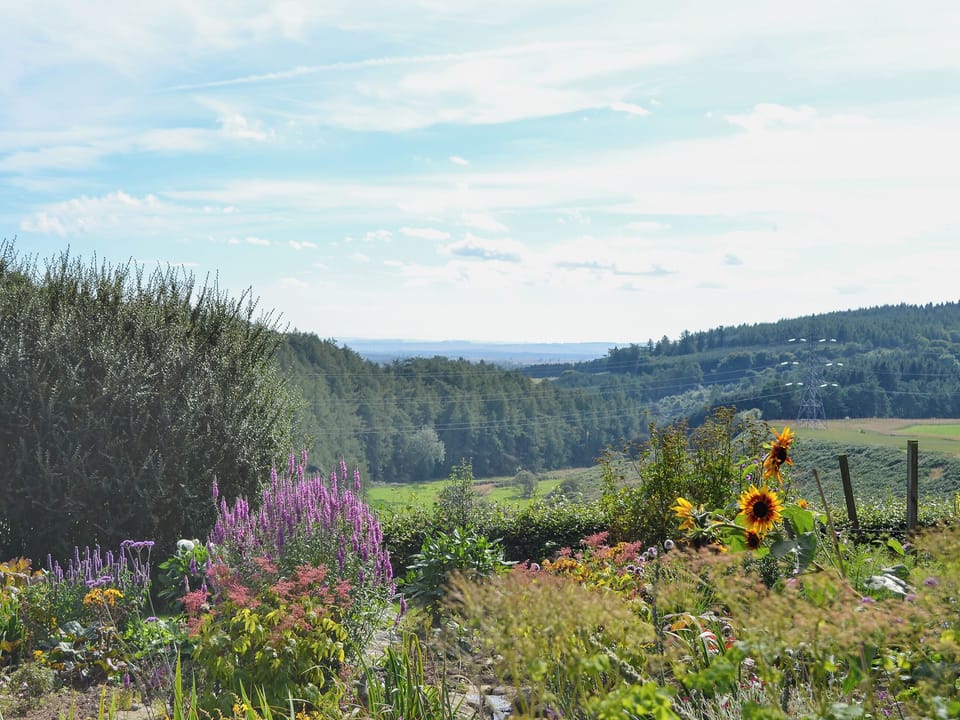 View from the garden | Glensaugh Lodge Apartment, Fettercairn, Laurencekirk