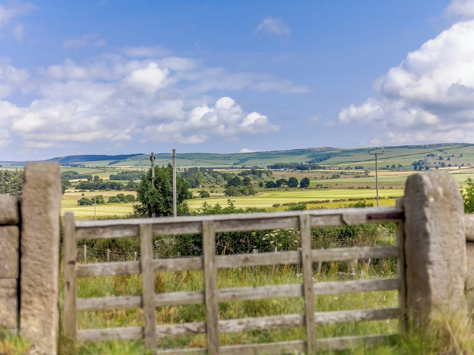 View | Farmside Cottage - Wandon Farm Cottages, Chatton, near Wooler