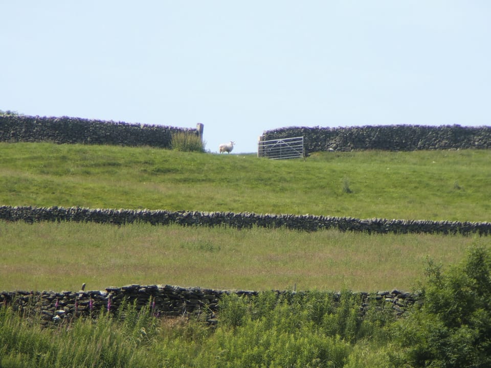 View | Bank View, Giggleswick near Settle